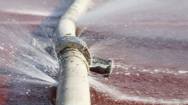 Burst Pipe Cleanup in Punta Gorda