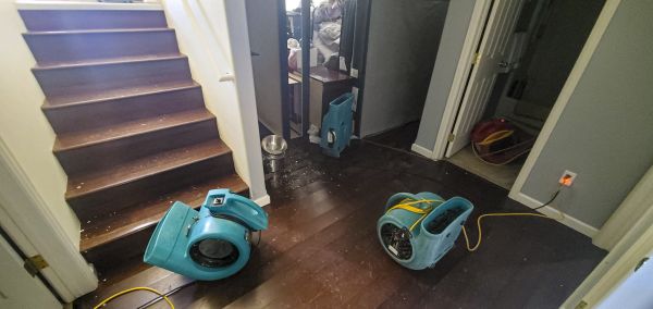 Water Damage Remediation in Punta Gorda