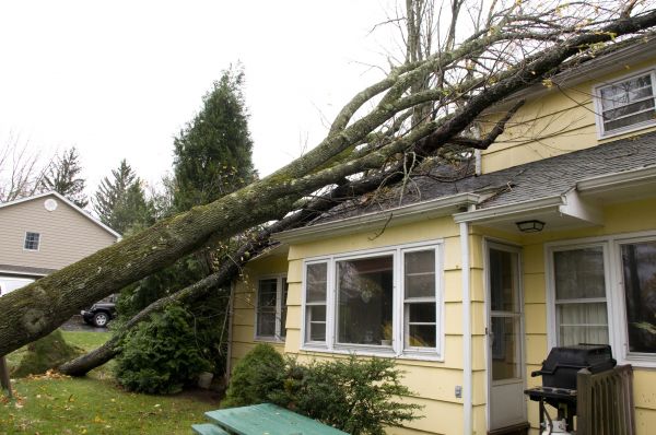 Hurricane Damage Repair in Punta Gorda