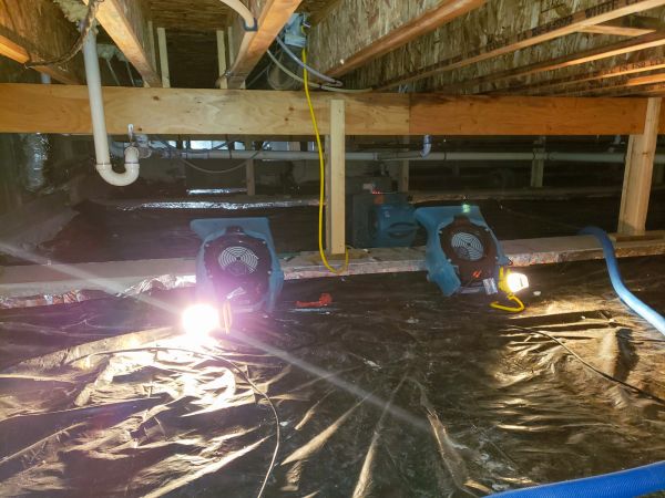 Crawlspace Water Removal in Punta Gorda