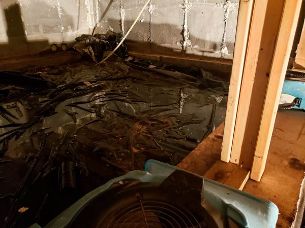 Crawlspace Water Cleanup in Punta Gorda